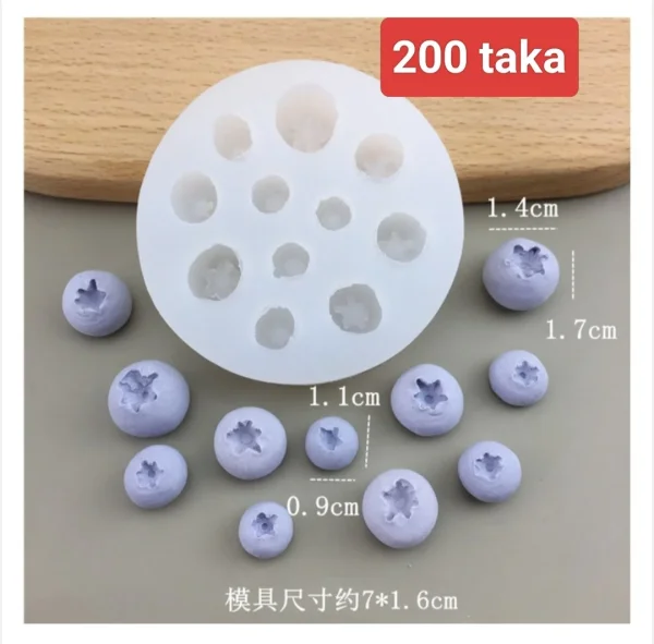 Blueberry  mold