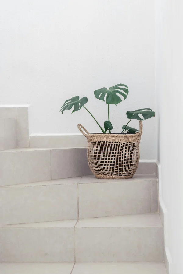 Woven Storage Basket