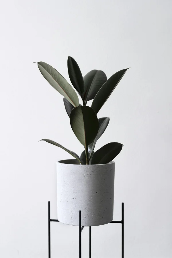 Stoneware Planter & Stand